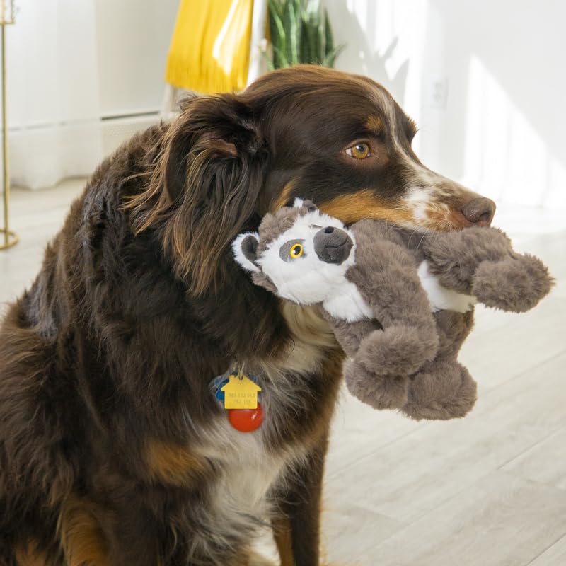 Amazon.co.jp: KONG Scampers Wildlife ぬいぐるみ 犬のおもちゃ 低音